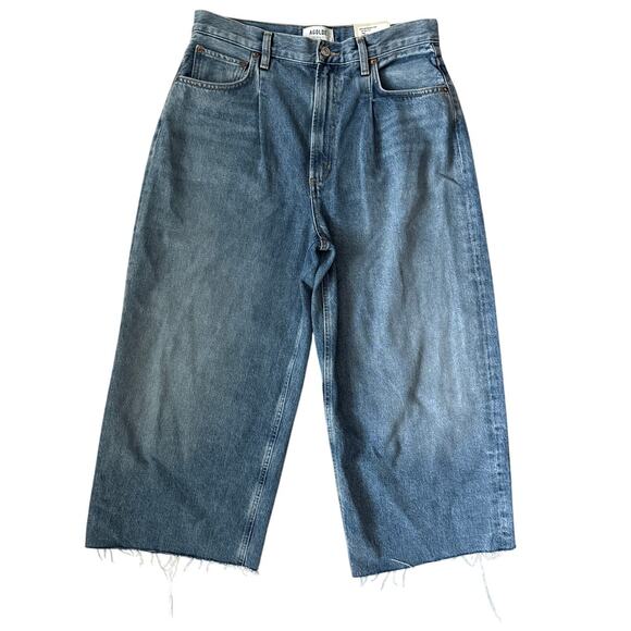 Agolde Dayna High Rise Pleat Baggy Jeans in Trap Size 28 - Picture 6 of 11